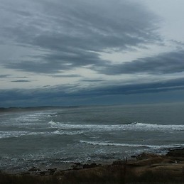 Bruno Bizzozero Peroni