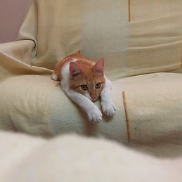 Sonia Hernández Sánchez