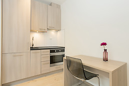 Fully equipped studio apartments, city center