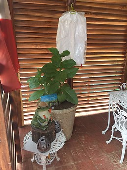 Habitación casa Particular en La Habana