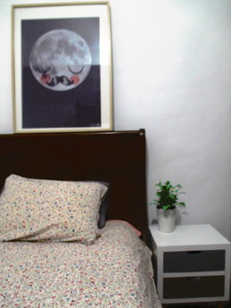 Habitación en piso amplio y soleado en Zaragoza!