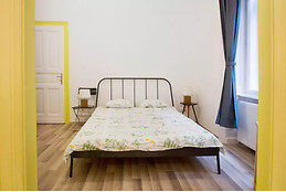 Industrial-chic renovated flat in the Palace District