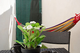 Jolie Studio sur Toulon avec wifi+Terrasse