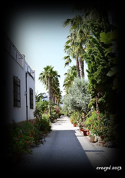 LA MEJOR FINCA DE ORIHUELA