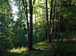 Large 72m2 apartment in Jyväskylä for rent