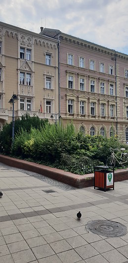 Large apartement with 3 rooms in Budapest