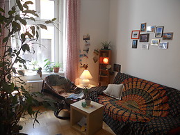 large apartment in the center :)