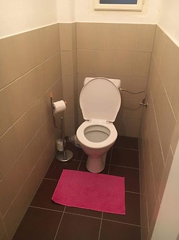 Large room in Vinohrady- Moravska