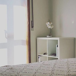 Large and sunny room in Vila Nova de Famalicão only a few minutes walk from universities CESPU and Lusíada (Portugal)