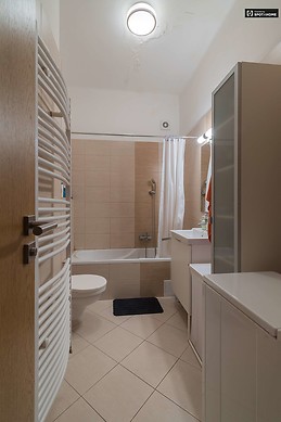 modern-1-bedroom-apartment-rent-lipotvaros-1282eed2576ec82a49e79