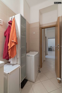 modern-1-bedroom-apartment-rent-lipotvaros-17db4dda18f1600fe7ce4