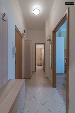 modern-1-bedroom-apartment-rent-lipotvaros-2e43bc719c24d3f6d6a18