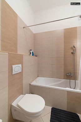 modern-1-bedroom-apartment-rent-lipotvaros-2ebdbb31ef2f641412bfe