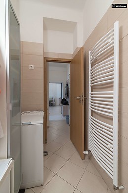 modern-1-bedroom-apartment-rent-lipotvaros-7134611f04853a4630092