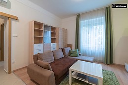 modern-1-bedroom-apartment-rent-lipotvaros-f552fd4e3911cf7f5a91f
