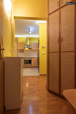 modern-2-bedroom-apartment-rent-ujlipotvaros-2b6170497e95a1f11af