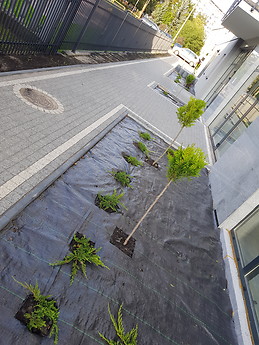 New three room apartment located close to center of the city and