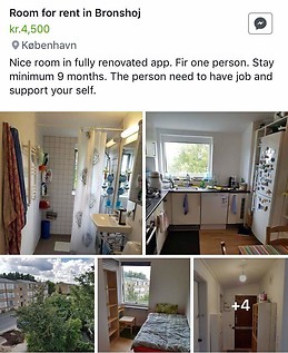 Nice room in totaly renovated app. in Copenaghen