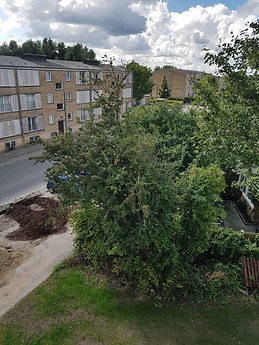 Nice room in totaly renovated app. in Copenaghen