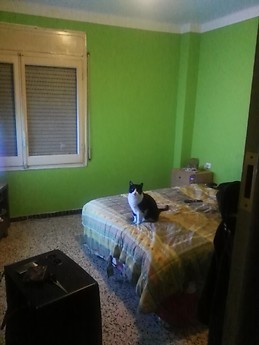 Alquilar de habitaciones en vendrell, cerca de Tarragona.