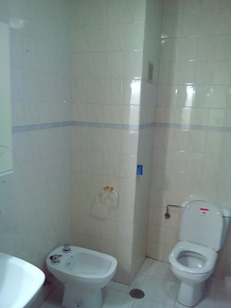 Piso amplio, con luz natural y con internet