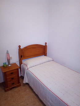 Piso en Málaga capital amplio y muy luminoso.3 habitaciones