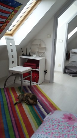 Quaint room with stunning views in sunny apartment.