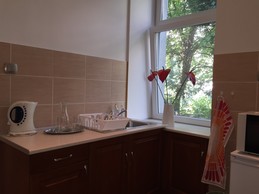 Quiet One Bedroom Apartment in Budapest 2. District close to Mam