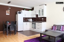 Renovated 3-bedroom apartment for rent in Terézváros