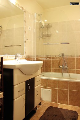 renovated-3-bedroom-apartment-rent-terezvaros-3888bba4c3ac345562