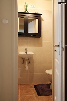 renovated-3-bedroom-apartment-rent-terezvaros-484641d84962be9d2b