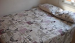 Room for Erasmus student