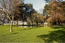 Room near Center of Lisbon