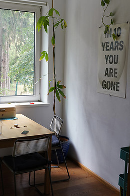 Room in shared flat with balcony in Linz