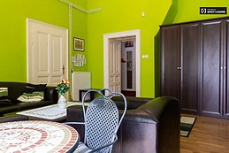 spacious-1-bedroom-apartment-rent-lipotvaros-61655114b004f36a4a5