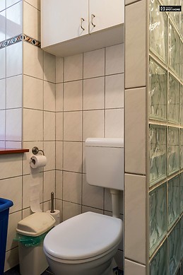 spacious-1-bedroom-apartment-rent-lipotvaros-89d9036eea4e44707e2