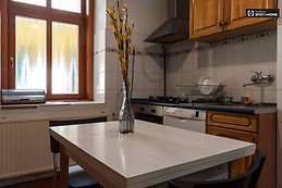 spacious-1-bedroom-apartment-rent-lipotvaros-a6ae9631cb6b00c4027