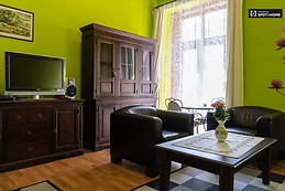 spacious-1-bedroom-apartment-rent-lipotvaros-f43d896adbd0b447371