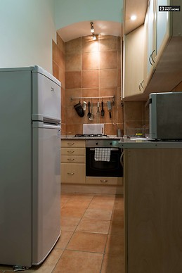 stylish-1-bedroom-apartment-rent-terezvaros-39fbcfba1be57f4b0c7f