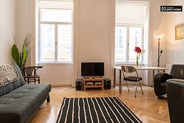 Stylish 1-bedroom apartment for rent in Terézváros