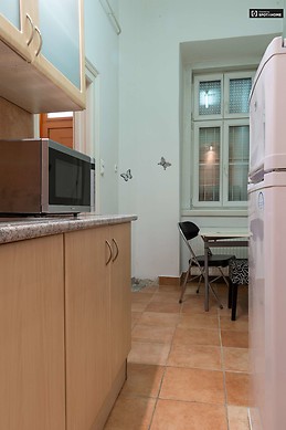 stylish-1-bedroom-apartment-rent-terezvaros-aba484b5083236e5df91