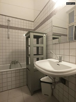 stylish-2-bedroom-apartment-rent-central-terezvaros-near-metro-7