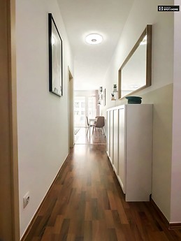 stylish-2-bedroom-apartment-rent-jozsefvaros-c775ddafff64fc6df15