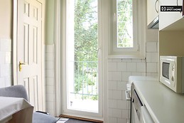 sunny-1-bedroom-apartment-rent-nemetvolgy-d37605f9ac3de2ee1a8349