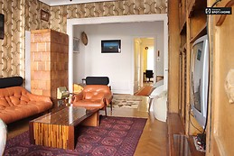 sunny-1-bedroom-apartment-rent-nemetvolgy-e0fa1e6b39c52fc8d13d0e