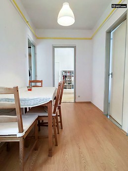 sunny-2-bedroom-apartment-balcony-rent-angyalfold-near-metro-161
