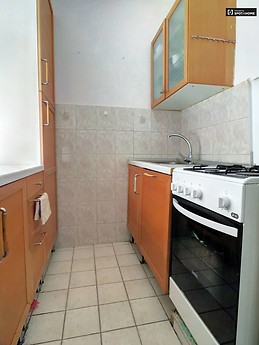 sunny-2-bedroom-apartment-balcony-rent-angyalfold-near-metro-a8d