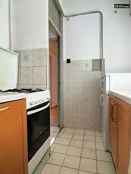 sunny-2-bedroom-apartment-balcony-rent-angyalfold-near-metro-f62