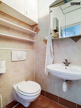 unique-1-bedroom-apartment-rent-rozsadomb-88fd61757e19ad2cddfb0e