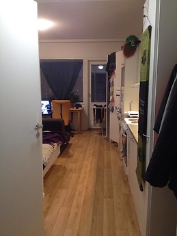 Warm, cozy studio apt